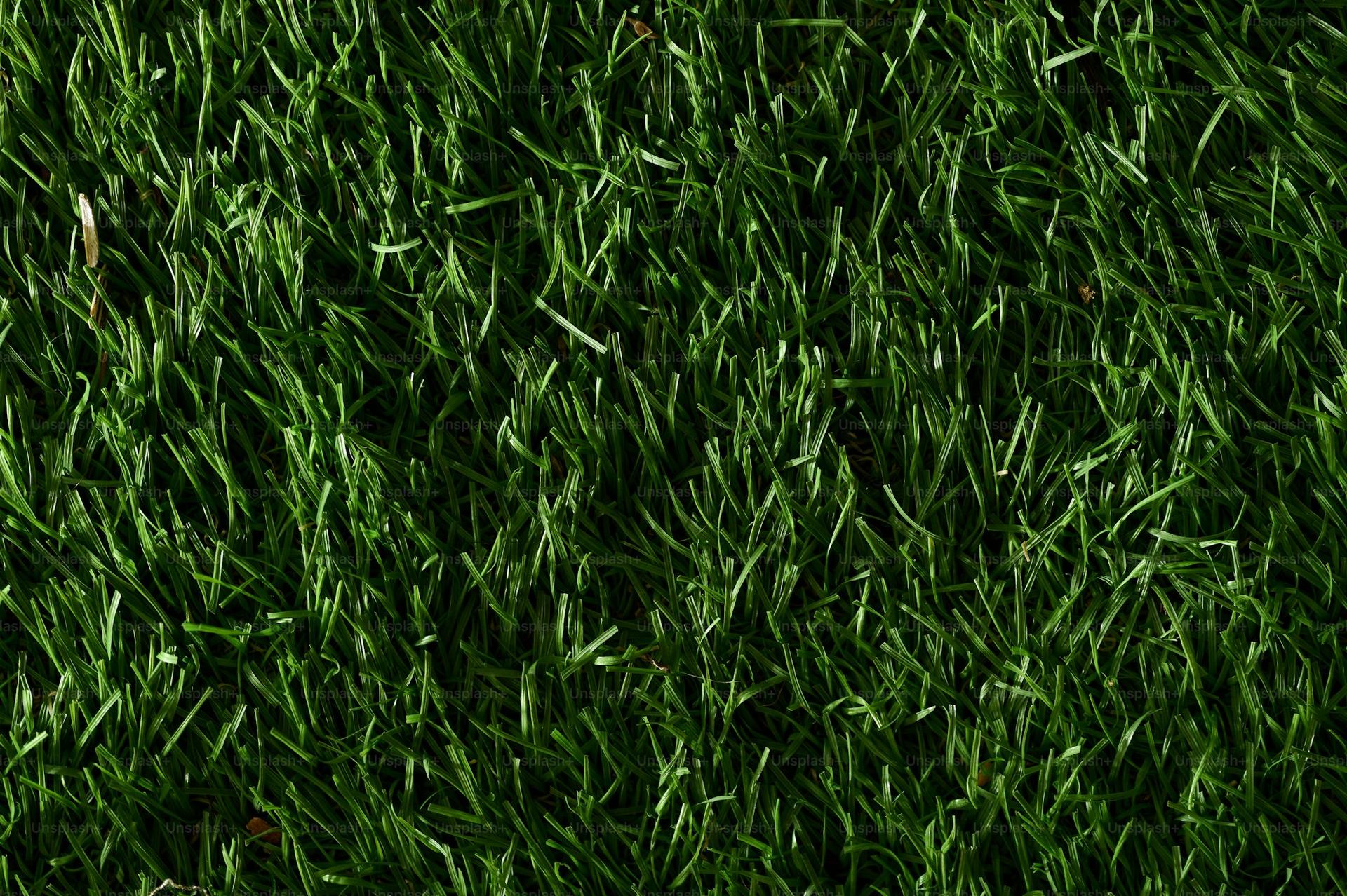 Grass Patch 6x4